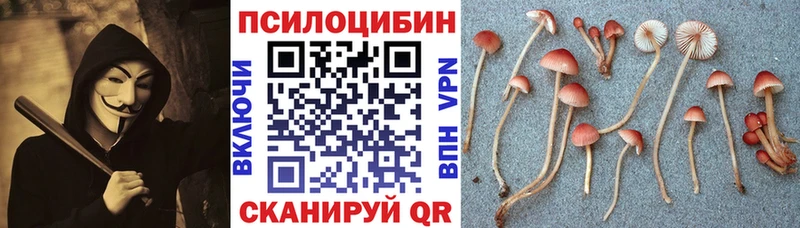 Галлюциногенные грибы Psilocybine cubensis  Изобильный 